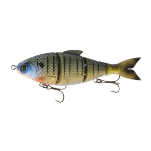 Trace 6″ – Live Bluegill