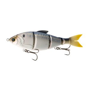 Trace 6″ – Live Threadfin Shad
