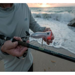 TRIUMPH SURF SPINNING RODS