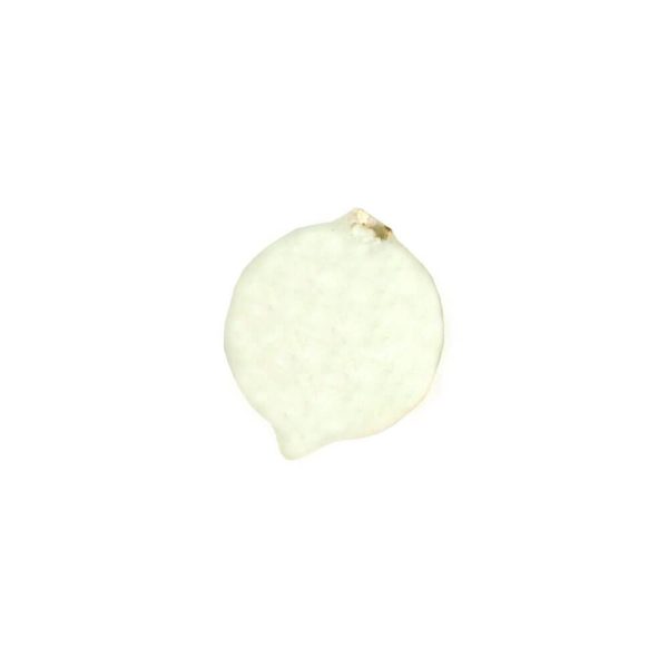 Tronixpro Pop Up White