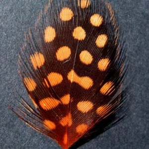 Turrall Guinea Hackles