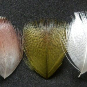 Turrall Mallard Breast