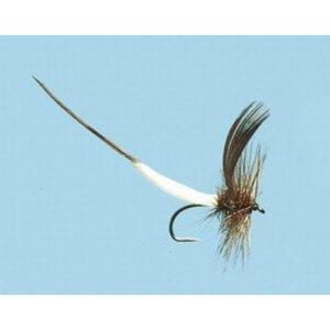 Turrall Mayfly Bodies