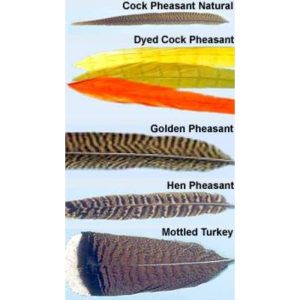 Turrall Tails