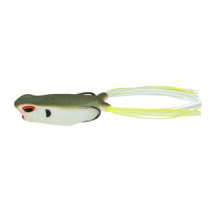 Vega Frog – Gargoyle