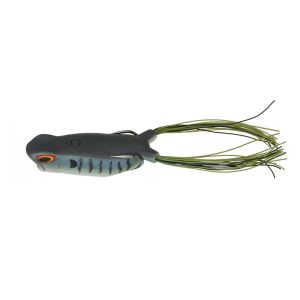 Vega Frog – Gill Fest