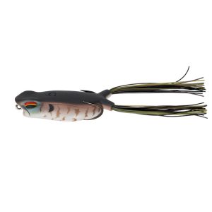 Vega Frog – GOAT