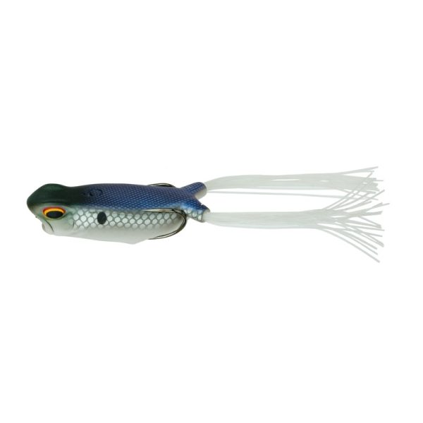 Vega Frog – Shad Spawn