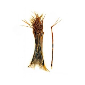 Veniard Cock Pheasant Hopper Legs
