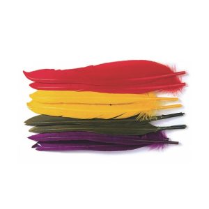 Veniard Duck Quills