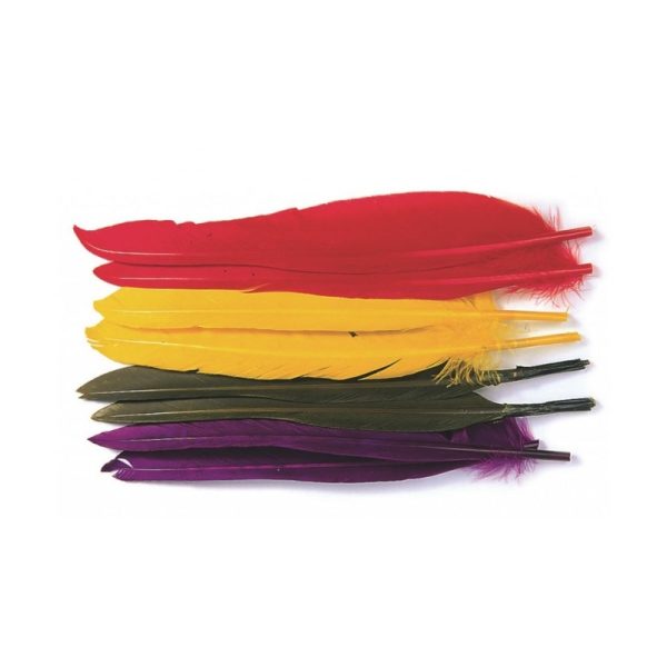 Veniard Duck Quills