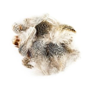 Veniard English Partridge Grey Neck (1g)