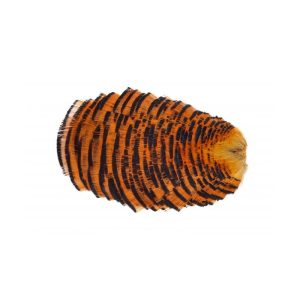 Veniard Golden Pheasant Tippet Collar