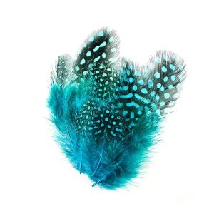 Veniard Guinea Fowl – Blue Jay Subs (2g)