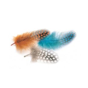 Veniard Guinea Fowl Small Selected