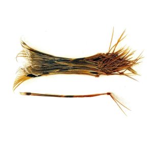 Veniard Hopper Legs