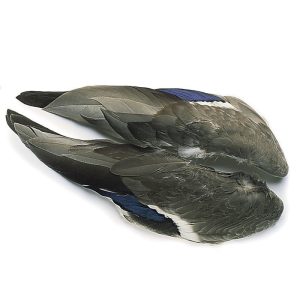 Veniard Mallard Duck Wings
