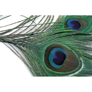Veniard Peacock Eye Tops