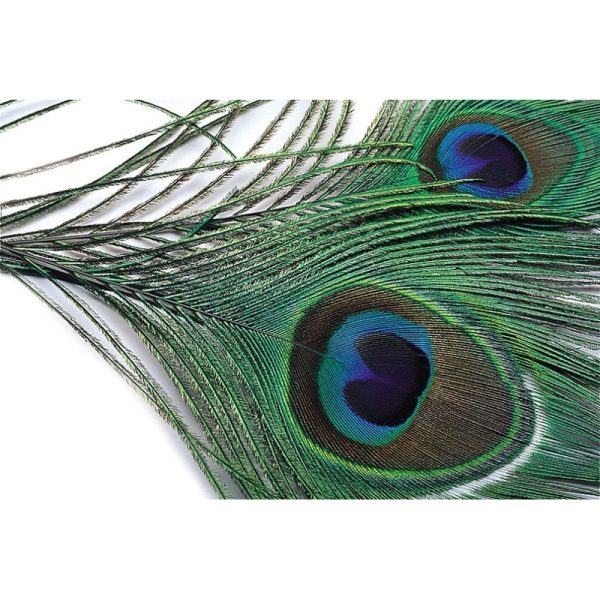 Veniard Peacock Eye Tops