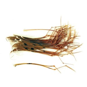 Veniard Pheasant Tail Daddy Legs