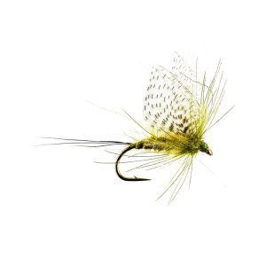 WALLY WING MAY – OLIVE DUN