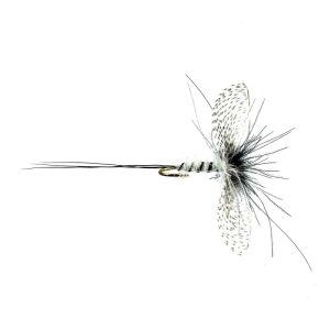 WALLY WING WHITE SPENT