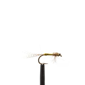 WD40 – Olive