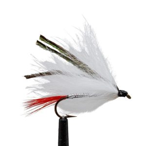 White Marabou