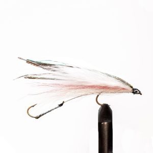 Winnipesaukee Smelt