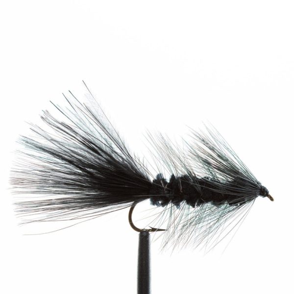 Wooly Bugger – Black