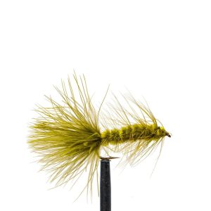 Wooly Bugger – Olive