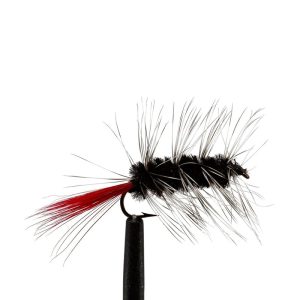 Wooly Worm – Black