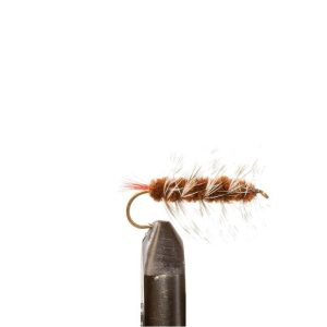 Wooly Worm – Brown
