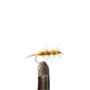 Wooly Worm – Olive