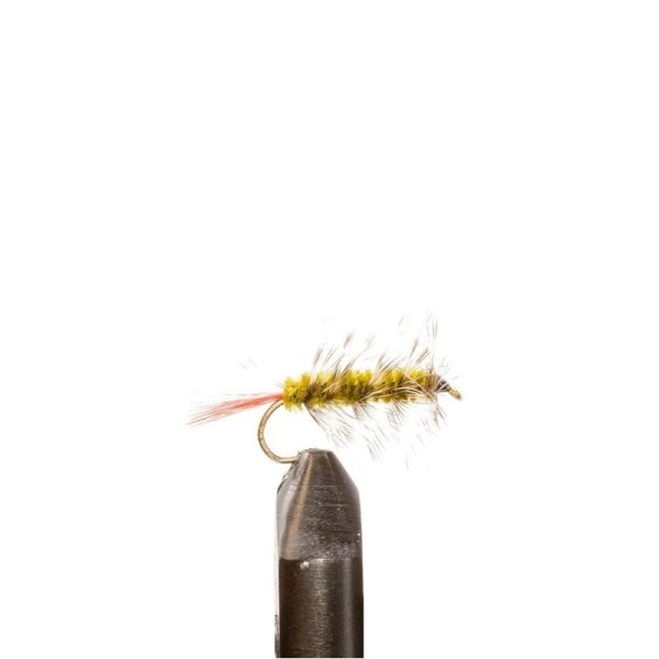 Wooly Worm – Olive