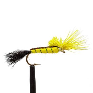 Yellow/Black Para Hex