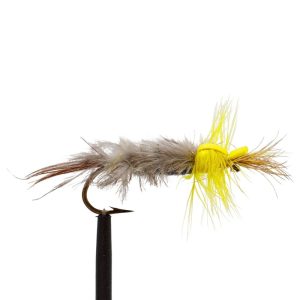 Yellow Hex Nymph