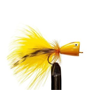 Yellow/ Orange Popper