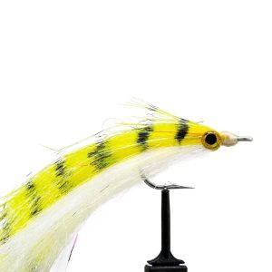 Yellow Perch