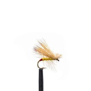 Yellow Sally