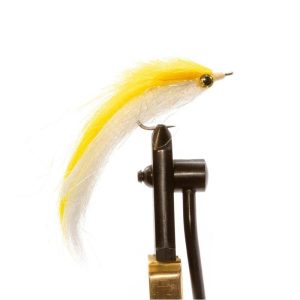 Yellow Shad