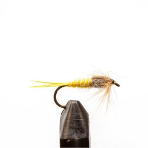 Yellow Stonefly