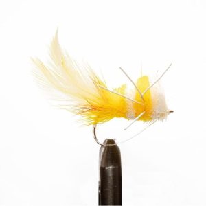 Yellow/ White Bass Bug