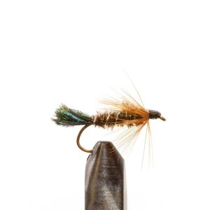 Zug Bug